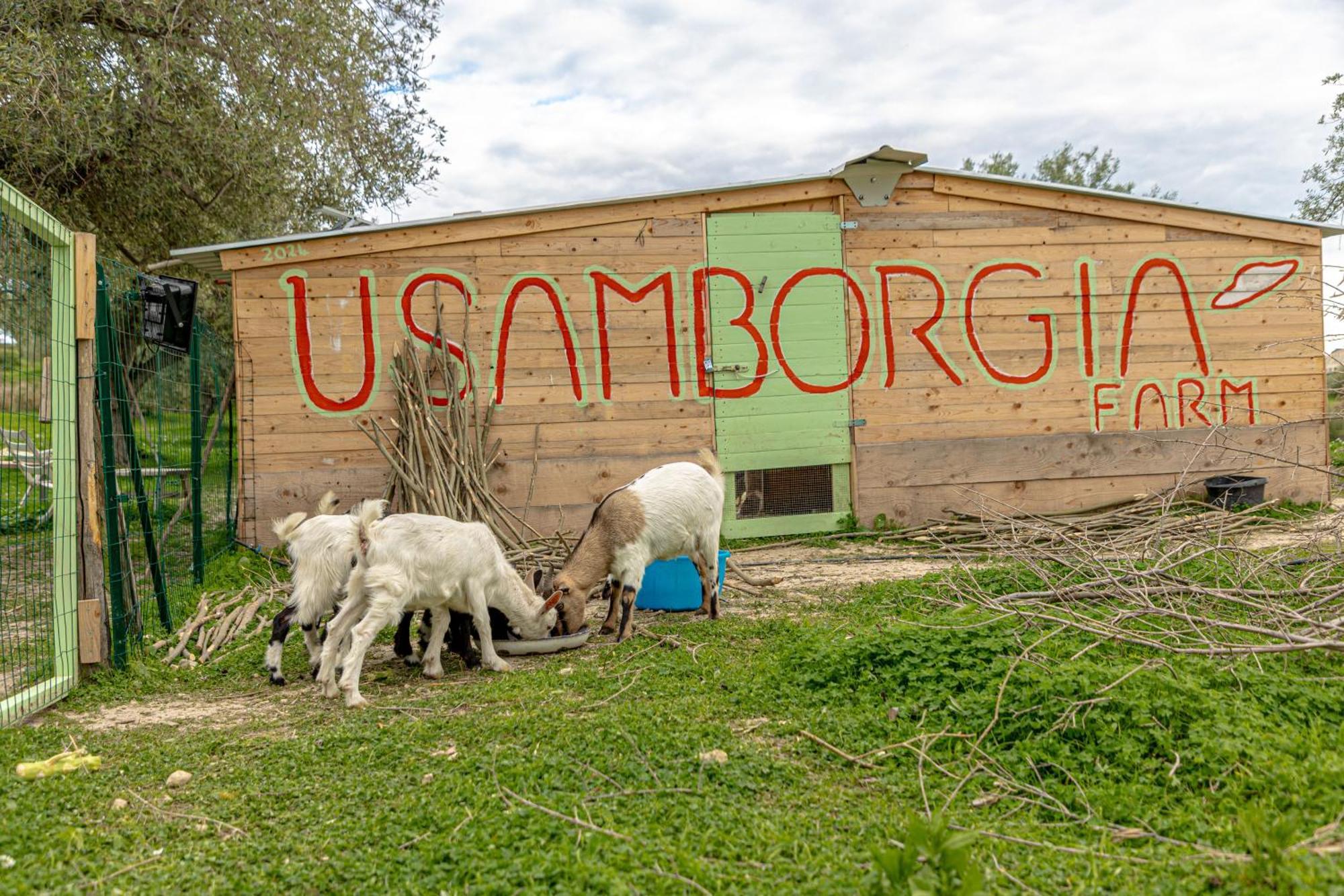 Masseria Usamborgia Noto Exteriör bild